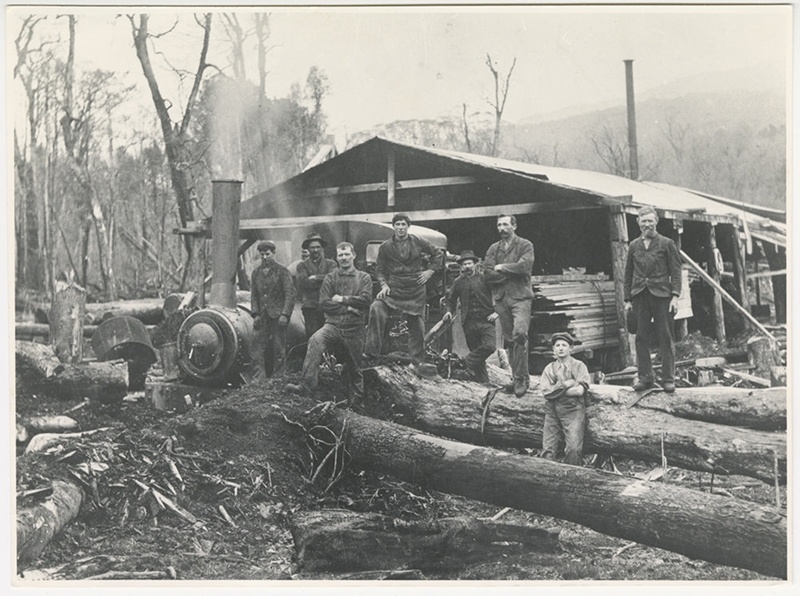 Photograph, More and Sons Sawmill; Phillips Brothers; 19071912; RI.P33