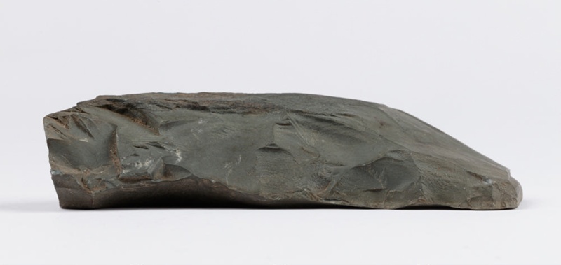 Toki, Pakohe, Argillite adze