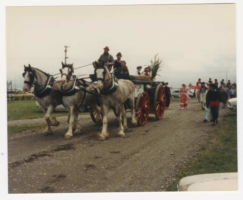 Photograph, Horse drawn float in a parade 1986.