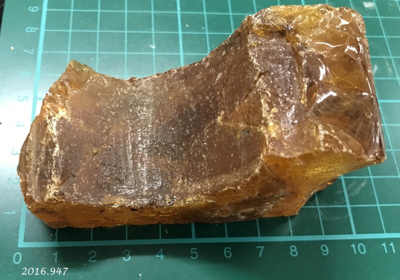 Kauri Gum; Kauri tree; 2400067 eHive