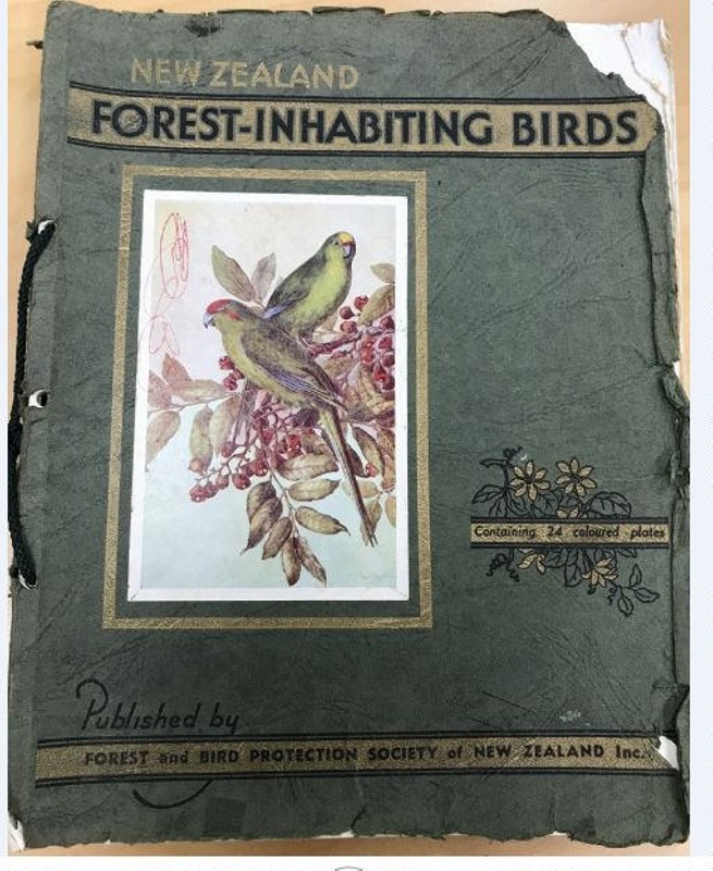 Book: Forest-Inhabiting Birds image item
