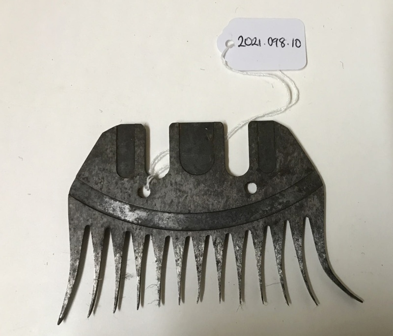 Comb. Shearing; 2021.098.10 eHive