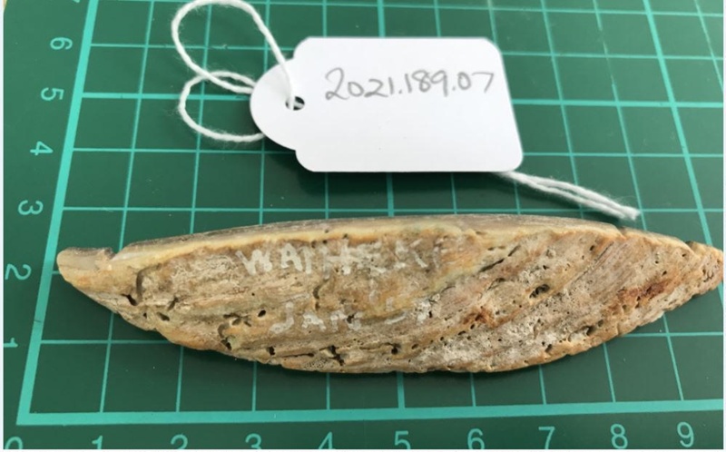Lure, Fishing Hook
