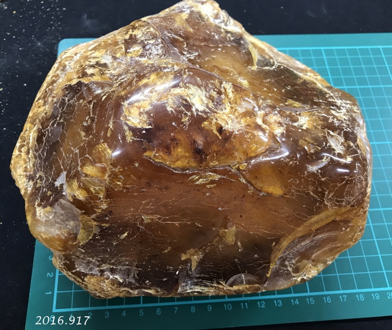 Kauri gum; Kauri tree; 4100109 a k on NZ Museums