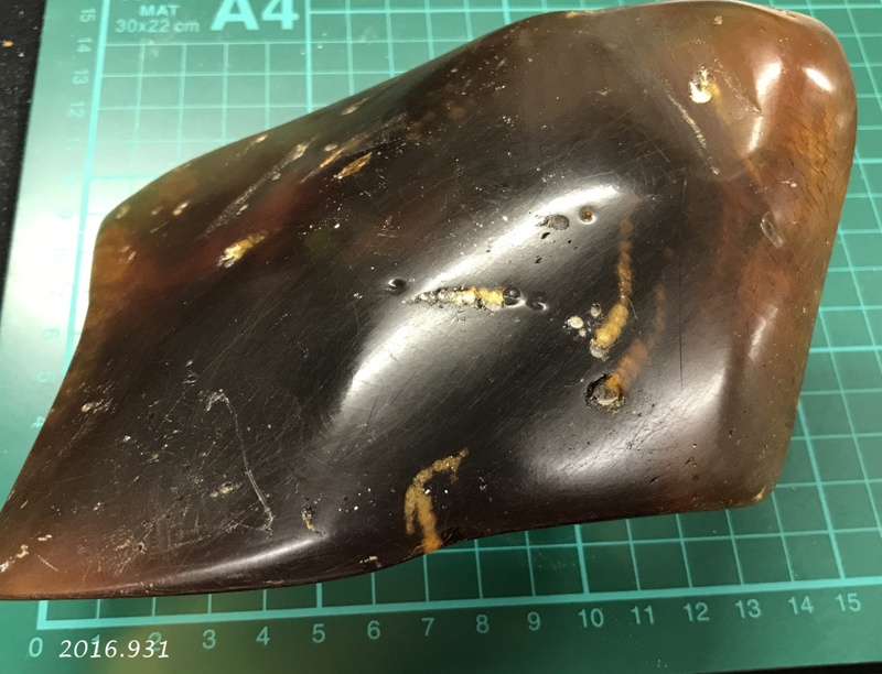 Kauri gum; Kauri tree; 4100109 a k eHive