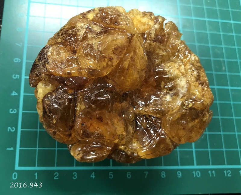 Kauri gum; Kauri tree; 4100109 a k on NZ Museums