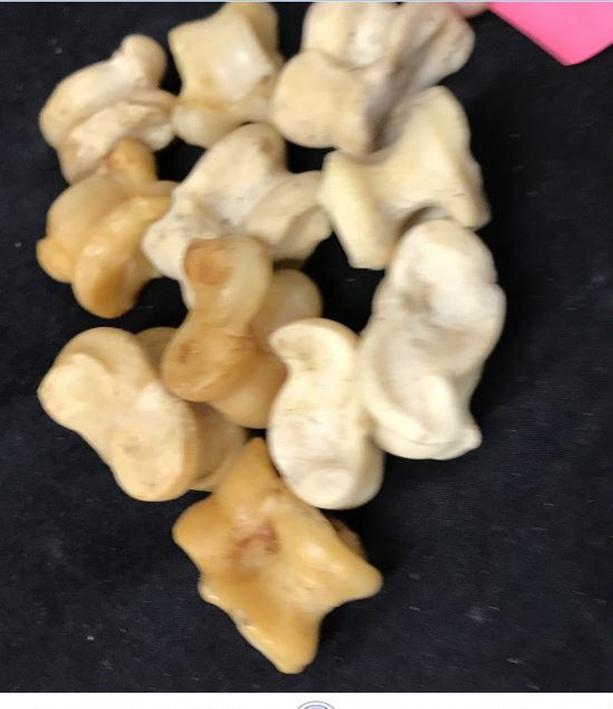 Knuckle bones; 2003.652 on NZ Museums