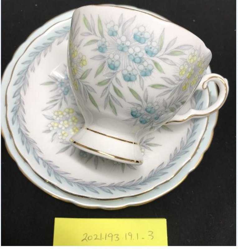 Tea Set; Tuscan Fine English Bone China; 2021.193.19 eHive