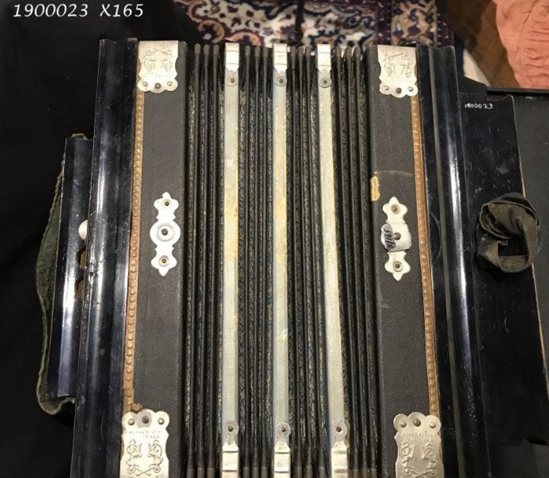 Accordion; The Viceroy Accordian; 1900023 eHive