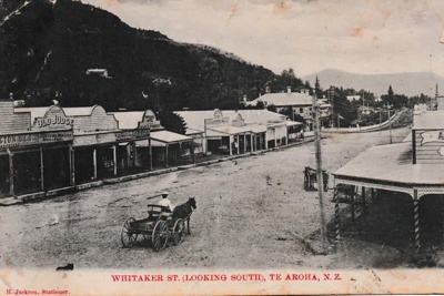 Postcard, Te Aroha image item