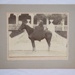 Photograph [Winifred Kerr Taylor]; 1896; XAH.GH.56