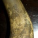 Scrimshaw horn; Circa 1861; XAH.V.32.2