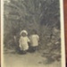 Photograph; c. 1900-1920; XCH.1582