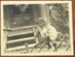 Photograph; 1900-1910; XCH.1555