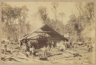 Photograph, Niagara Sawmill; Hull, H.H.; 1905-1915; WW.1995.1013E