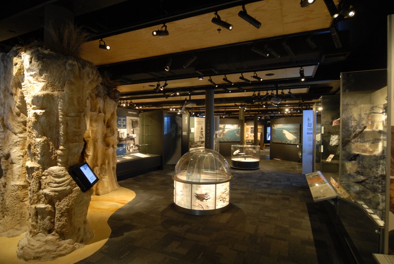 Nelson Provincial Museum Pupuri Taonga o Te Tai Ao 