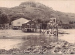 Photo: Masefield's Canning Factory, Russell, c1900; 97/1038