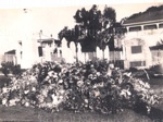 Photo: Judge J.C. Martin's grave covered with flowers, 1926; 97/687