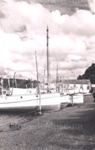 Photo: View of Matauwhi Bay, c1948; 97/1013