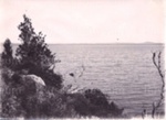 Photo: Lake Omapere; 97/1258