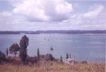 Photo: View from Wellington Street to Te Wahapu and Paihia, 1962; 99/1466