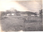 Photo: Matauwhi Bay; 01/192