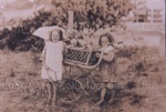 Photo: Jack Gordon in pram with Jane and George Gordon, c1914; 94/109/5