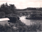 Photo: Haruru Falls; 97/1346