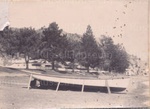 Photo: "Mermaid" built by Ned Cook; 97/543