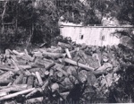 Photo: Kauri logs piled up below kauri dam; 01/138