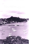 Photo: View of Russell from Kororareka Point; 97/1772