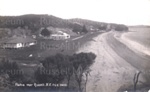 Postcard: Paihia waterfront; 91/96/8
