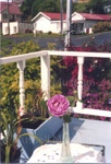 Photo: View from Kauri Cottage, corner of Matauwhi Bay Rd and Robertson Road, Russell, c1980's; 97/1683/1