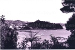 Photo: View of Russell waterfront looking south; 97/1762