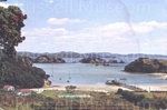 Postcard: Otehei Bay, Bay of Islands, c1950's; 06/11
