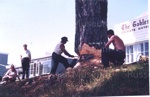 Photos from slides (4); 91/43/1