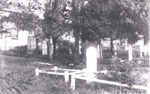 Photo: Cemetery of Christ Church, c1899; 97/1113
