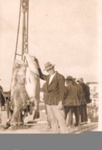 Photo: Les Williams with fish on the wharf c1920's; 05/161
