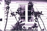 Photo: Police office window, Police Station, Russell; 97/1759/2