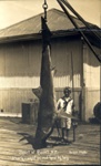 Postcard: Boy and shark c1900's; 12/147