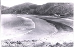 Photo: Long Beach, showing cottages of R.S. Wiggins and J. Sweney, c1930; 97/1019