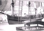 Photo: Endeavour model, Russell Museum; 97/1552