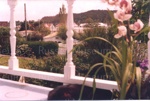 Photo: Views to downtown Russell from Kauri Cottage, c1980's; 97/1683/3