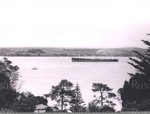 Photo: "Suffolk" sailing up harbour to Opua, 1957; 97/600