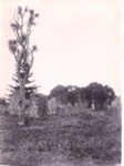 Photo: Paihia, site of printing works/storehouse; 97/1272