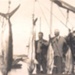 Four photos: a) two anglers with gamefish. b) H. Vipond and G. Warne with fish. c) "Alma G" and anglers. d) Hammerhead shark on Russell wharf.; 97/644
