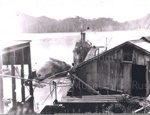 Photo: Hananui II at Whangamumu Wharf; 92/21/30