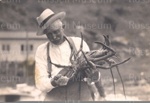 Photo: Crayfish caught at Whangamumu; 97/1426
