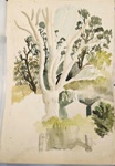 Painting: Trees and Houses; Pauline Kahurangi Yearbury; 10/97