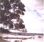 Photo: Ceremonial war canoe, Russell Beach, c1970; 99/1495